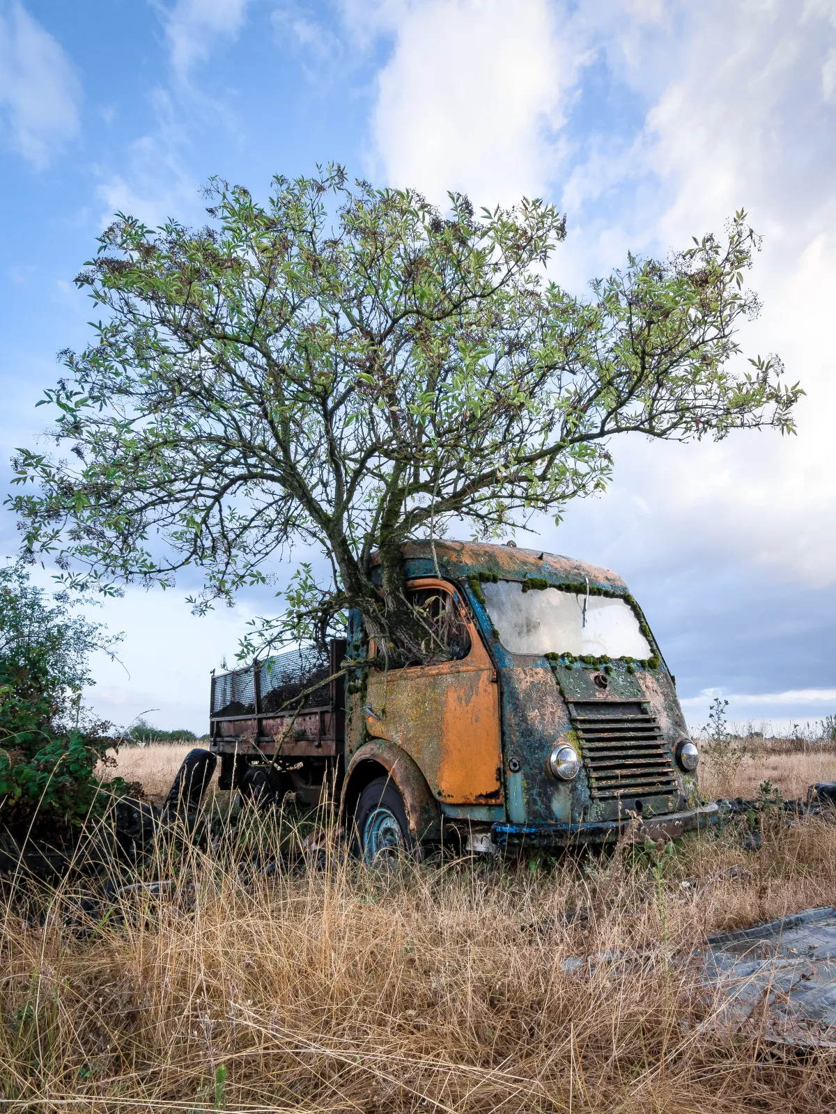 La Camionnette Enracinée