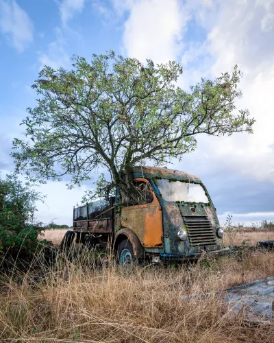 Produit La Camionnette Enracinée Image