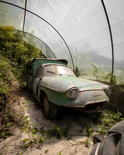 Produit Trésor sous plastique Image